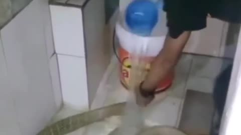 Bathing A Snake