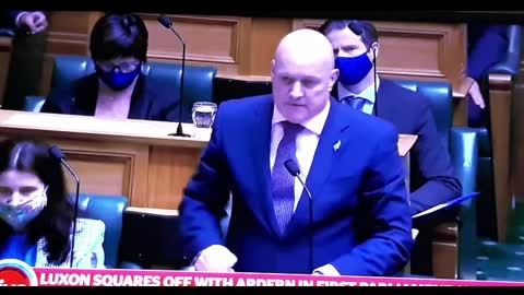 BEEHIVE Politics - underneath it all