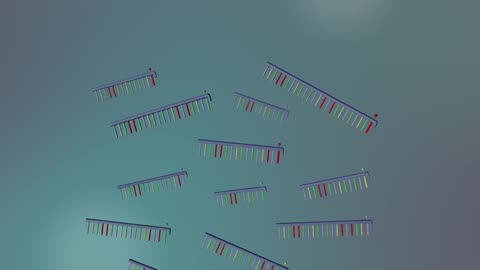 DNA SEQUENCING