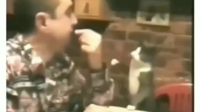 Saving cute cats 💖 🥺 😻 😻