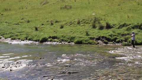 New Zealand Fly Fishing