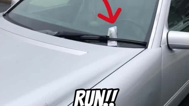 If You See Money on your Car Run!!!