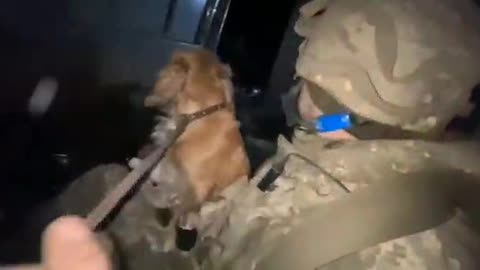 Ukrainischer Soldat darf sich mit seinem Hündchen ergeben.