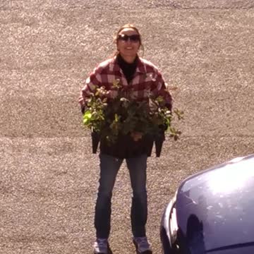 L' ULTIMO dell' ANNO con DANNO