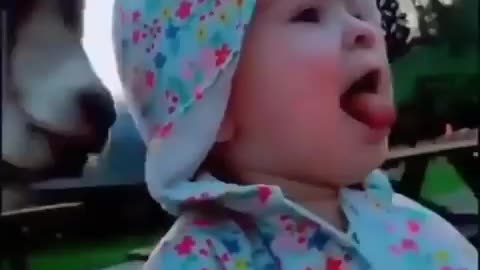 Toddler trying to match his voice with goat😅👶