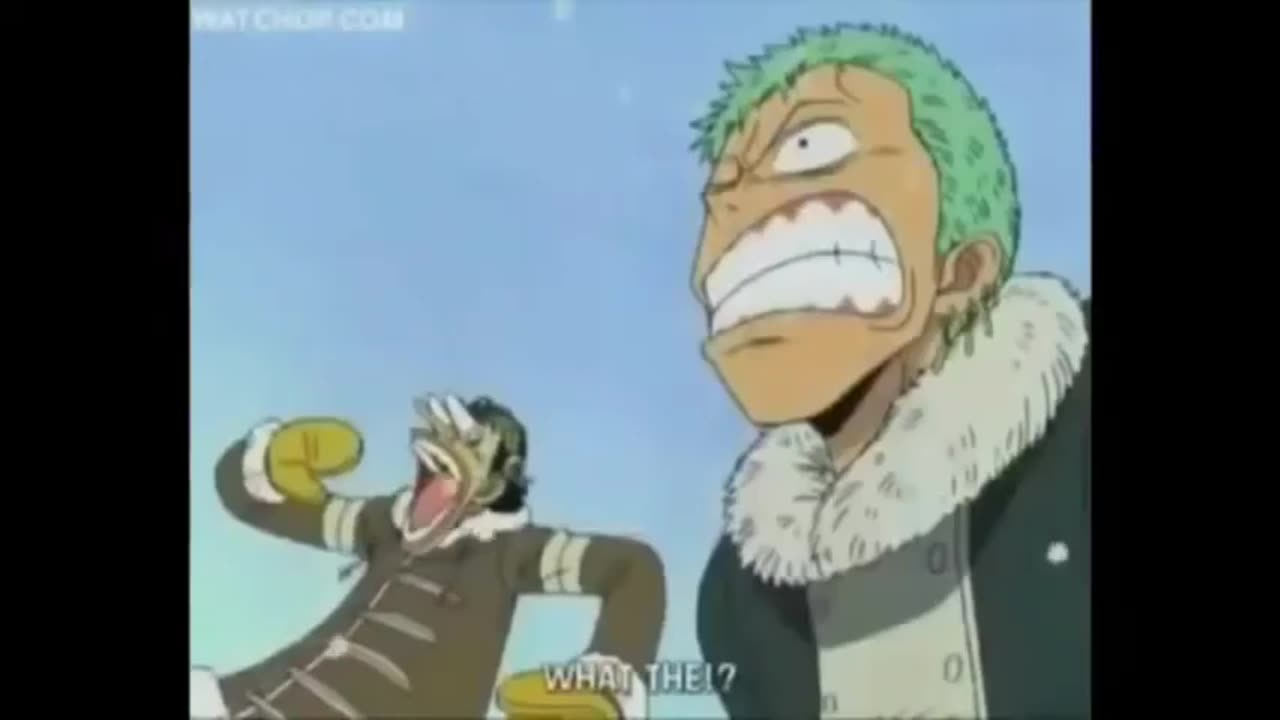 Zoro | ONE PIECE Funny Moments | Anime