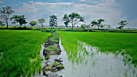 Indian Village farming scene