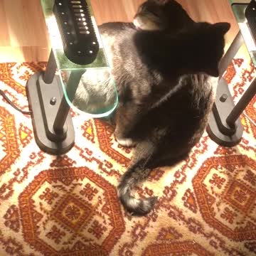 Mother and daughter grooming