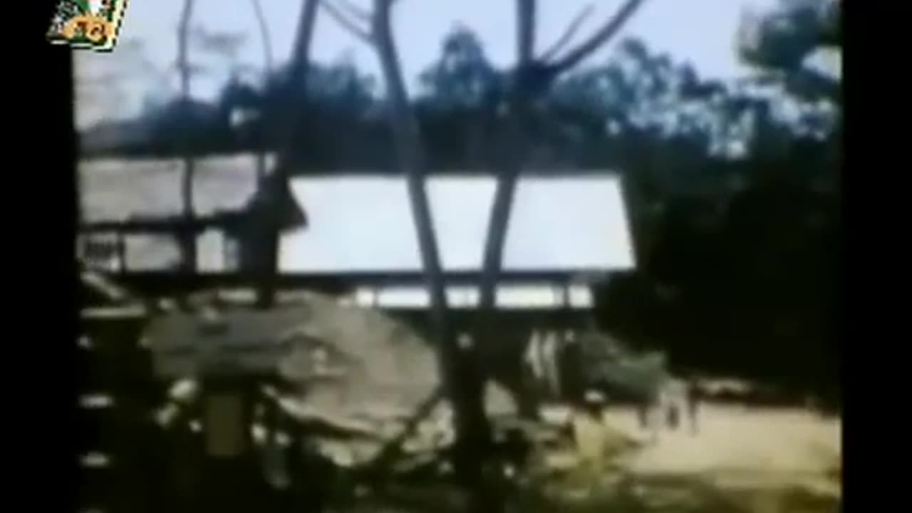 Les Origines du Sida - Reportage Complet (2013)