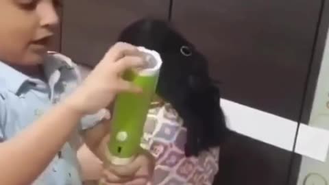 😍Cute baby funny video 😂