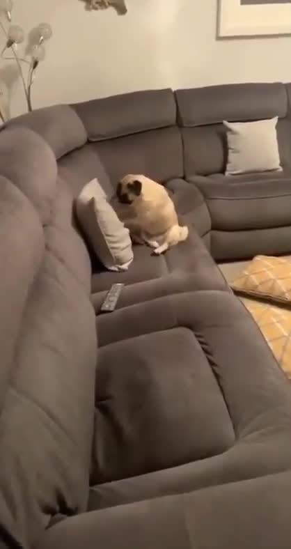 Rocky - The Beginning