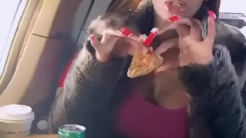 Sexyy Red eating Popeyes in a jet
