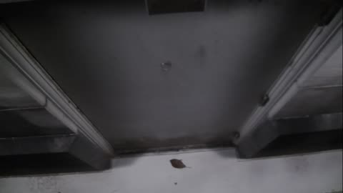 0921USCG00HT18Exterior_2021-01-06_03h20min01s210ms.mp4