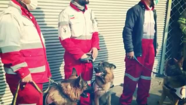 Tehran fire: Iconic Plasco building collapses killing 20 firefighters-3