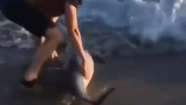 Man saves a baby dolphin that is beached