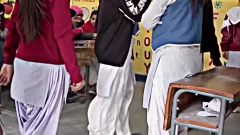 Funny Videos