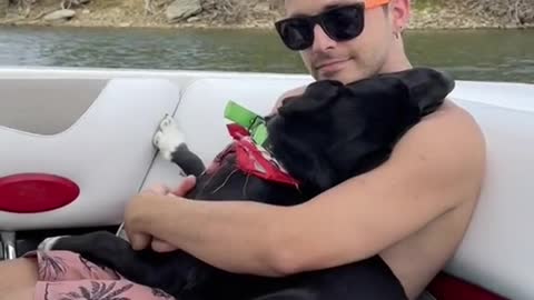 my husband met our friends foster dog...