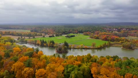 Enchanting Autumn Forests with Beautiful Piano Music