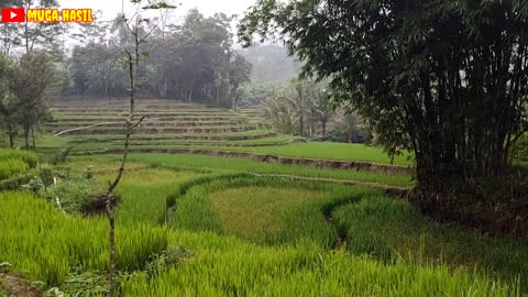 My newest cool and beautiful village nature