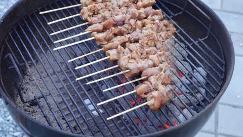 Chicken Teriyaki Skewer