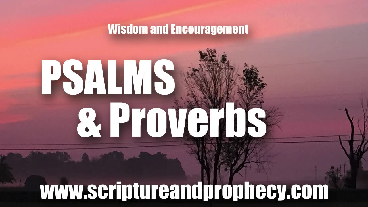 Wisdom From Psalm 108-109 & Proverbs 26: But I Give Myself Unto Prayer