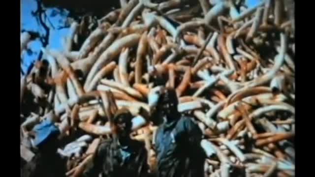 09 Kao u Nojevo vreme