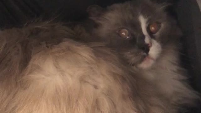 Me. Every single time my alarm goes off Monday morning