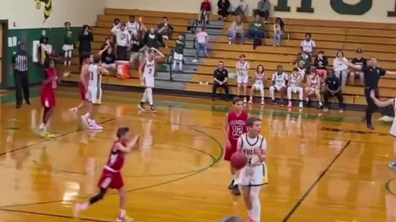 Crazy and Funny Videos!