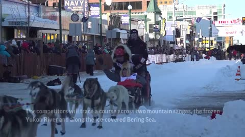 2024 Iditarod gets underway with ceremonial start in Anchorage