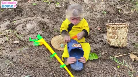 Bibi monkey goes to fishing