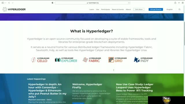 The blockchain ecosystem