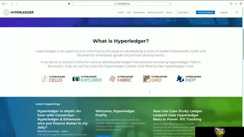 The blockchain ecosystem