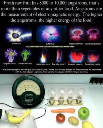 Eat high vibrational food, you become high vibrational 💫💫💫🍎🍌🍓🥑🫐 This is basic physics