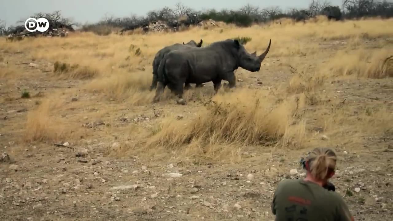 Rich and poor - Inequality in Namibia | DW Documentary