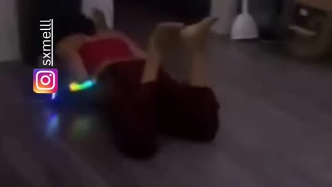 Best Funny videos