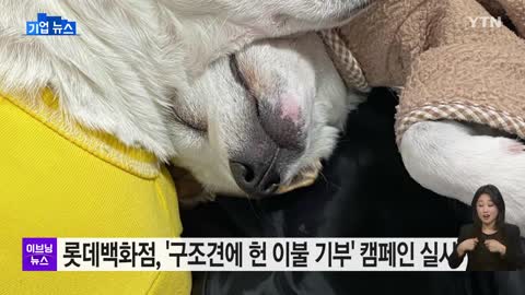 [기업] 롯데백화점, '구조견에 헌 이불 기부' 캠페인 실시