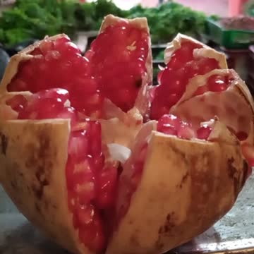 Ait Ourir Marrakech Maroc 1