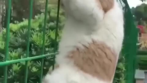 COMPILATION 2