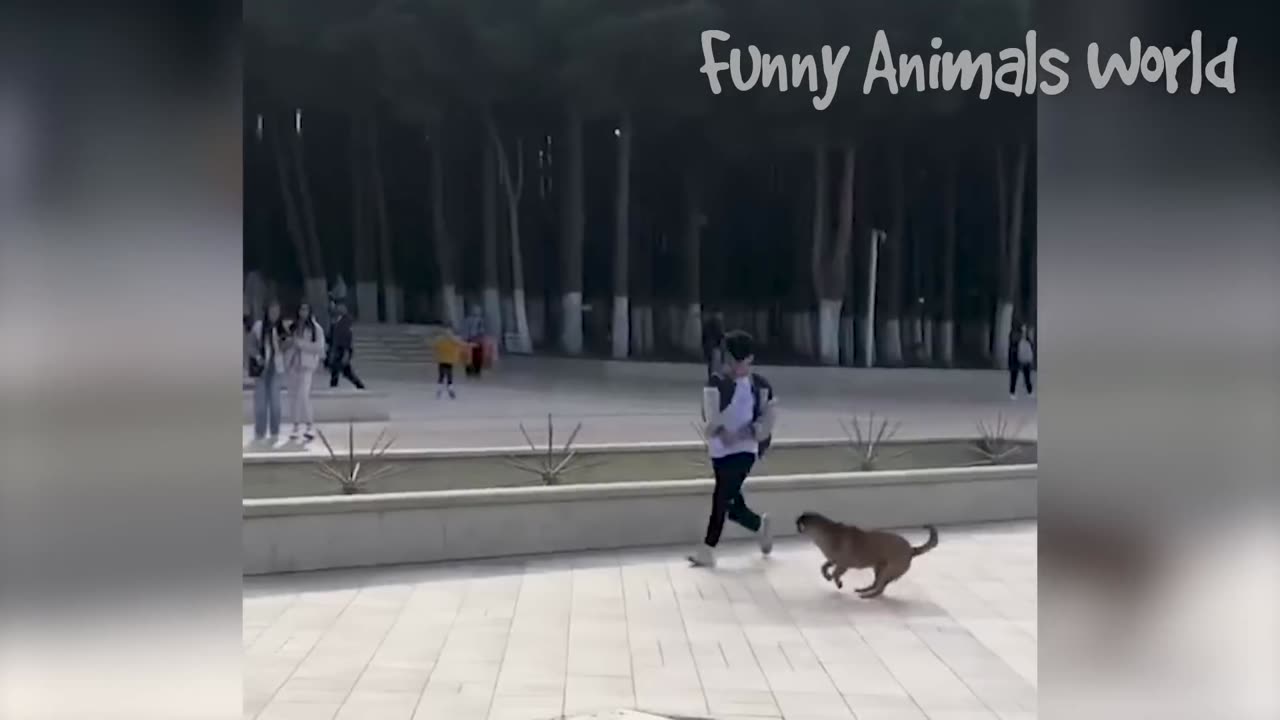 Funniest Animal Videos 2023 😁 - Best Funny Cats & Dogs Videos 🥰 #20