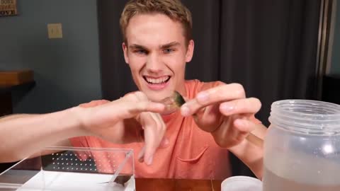 Baby Snapping Turtle vs Crayfish