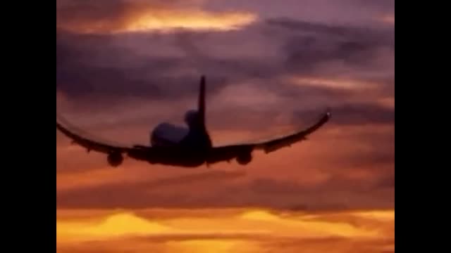 Fly like a Pro - Funny Video