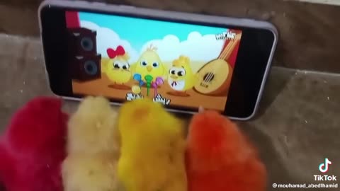 Chicks watching chick cartoons