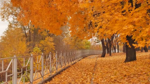 Enchanting Autumn Forests with Beautiful Piano Music