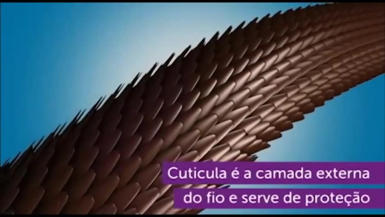 Como é Formado os Fios de Cabelo #cabelo #cabelos #cabelosaudavel