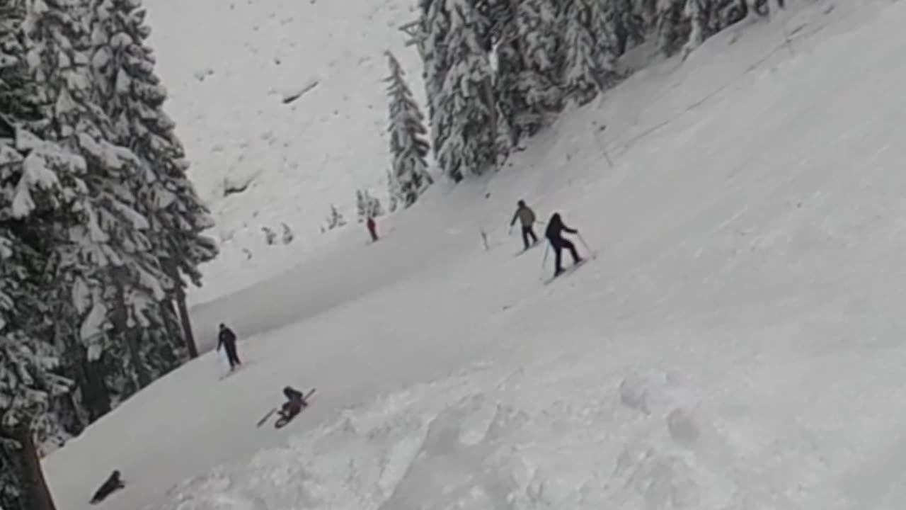 Kid Crashes Into Skier