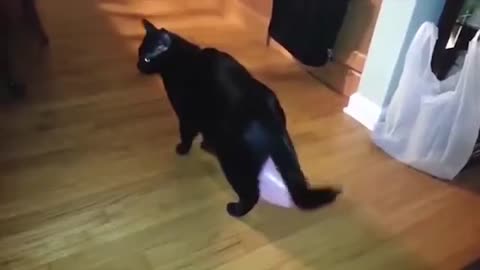 Zany Zoo Chronicles: Hilarious Animal Antics Caught on Camera!"