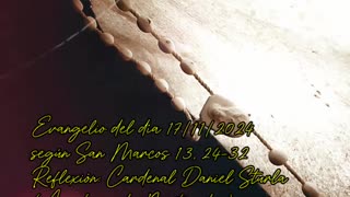 Evangelio del día 17/11/2024 según San Marcos 13, 24-32 - Cardenal Daniel Sturla