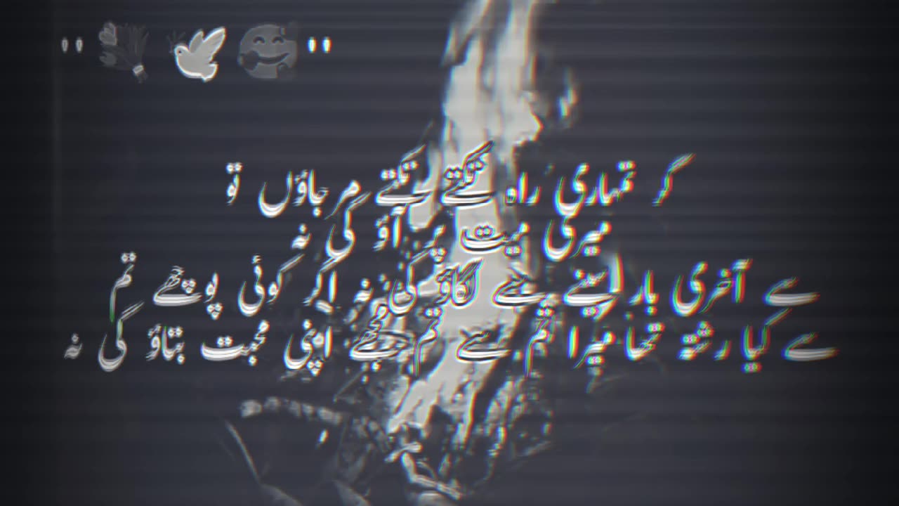 Poetry video status| shayari video| status video| lovely shayari| sad shayari|