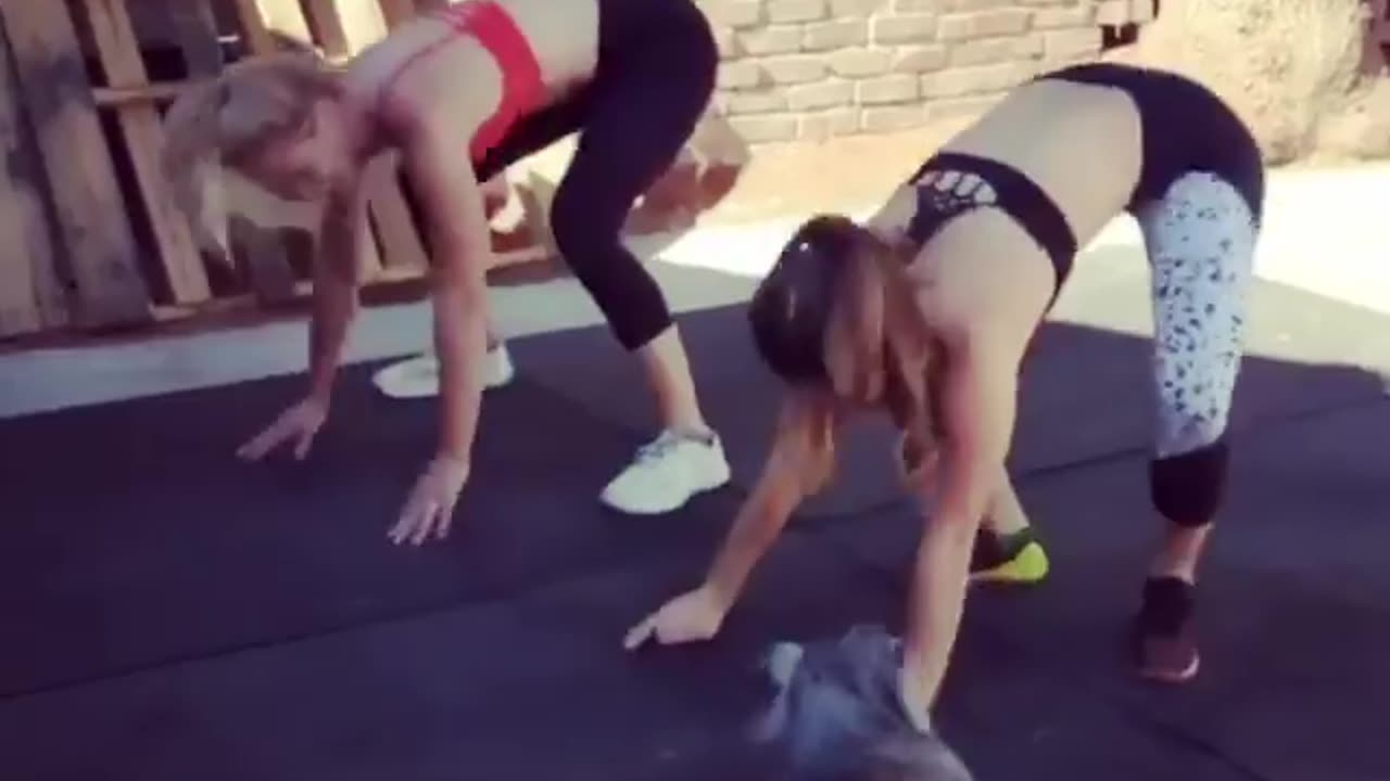 Would you like to have a workout buddy like this cute pup