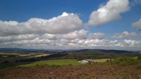 Satellite tower and heathers on Brimmond Hill Sept 2023